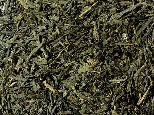 Sencha